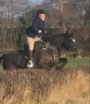 Calamity Jane, 15.1hh Riding Mare