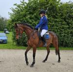 Delilah, 15.2hh Riding Mare