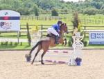 Delilah, 15.2hh Riding Mare