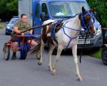 Driving Filly