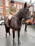 Beau, 15.3hh ISH Riding Mare