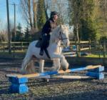 Candy, 15.1hh Riding Mare