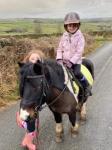 Rupert, 7 years old, 11.1hh (ish) black & white gelding. Bombproof & foot perfect on lead rein. Really good to handle & around children. Good to catch, box, clip & have feet trimmed. Will go off lead but is very green & can have his own ideas. 